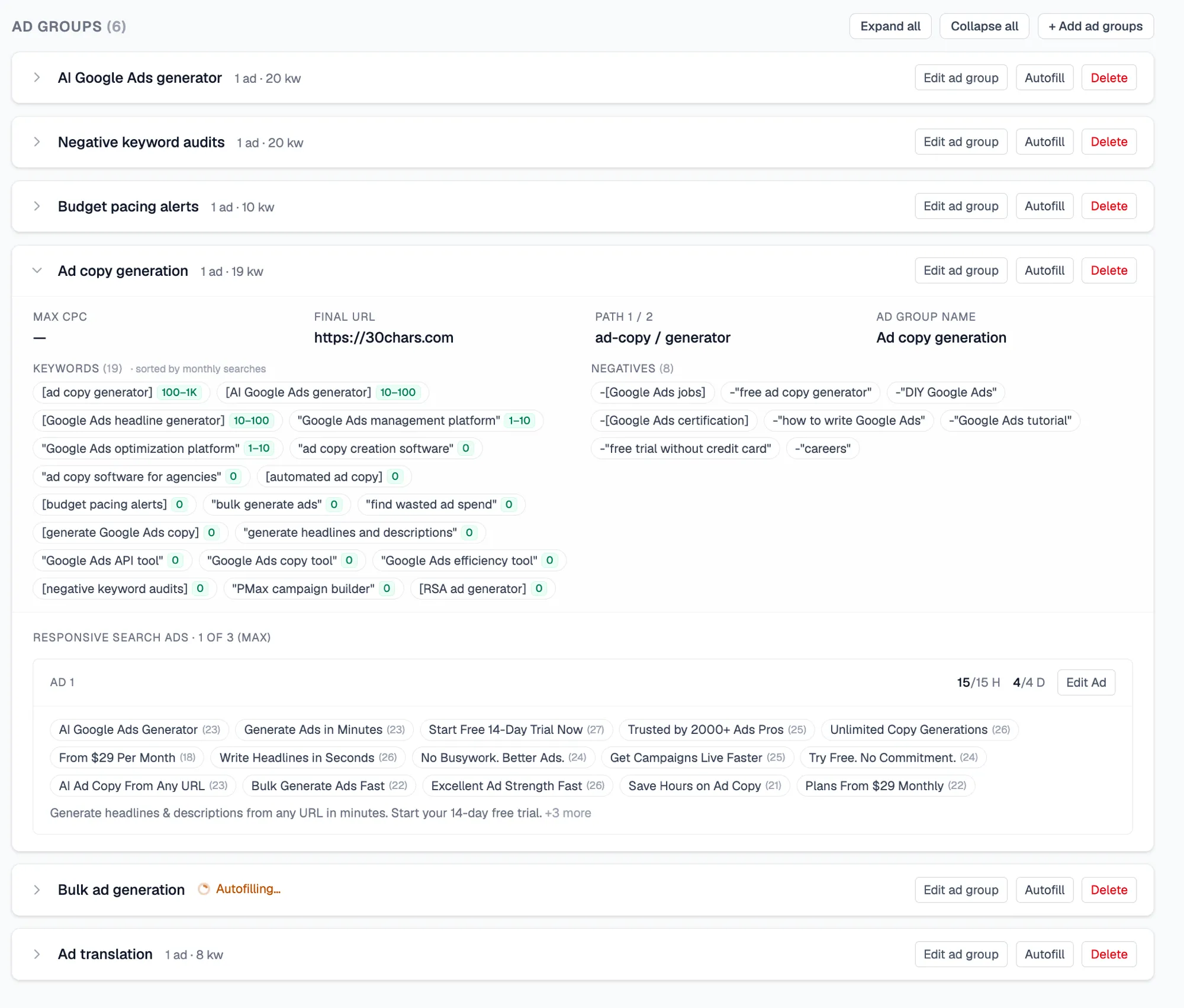 Ad groups — generated campaign structure with keywords and responsive search ads