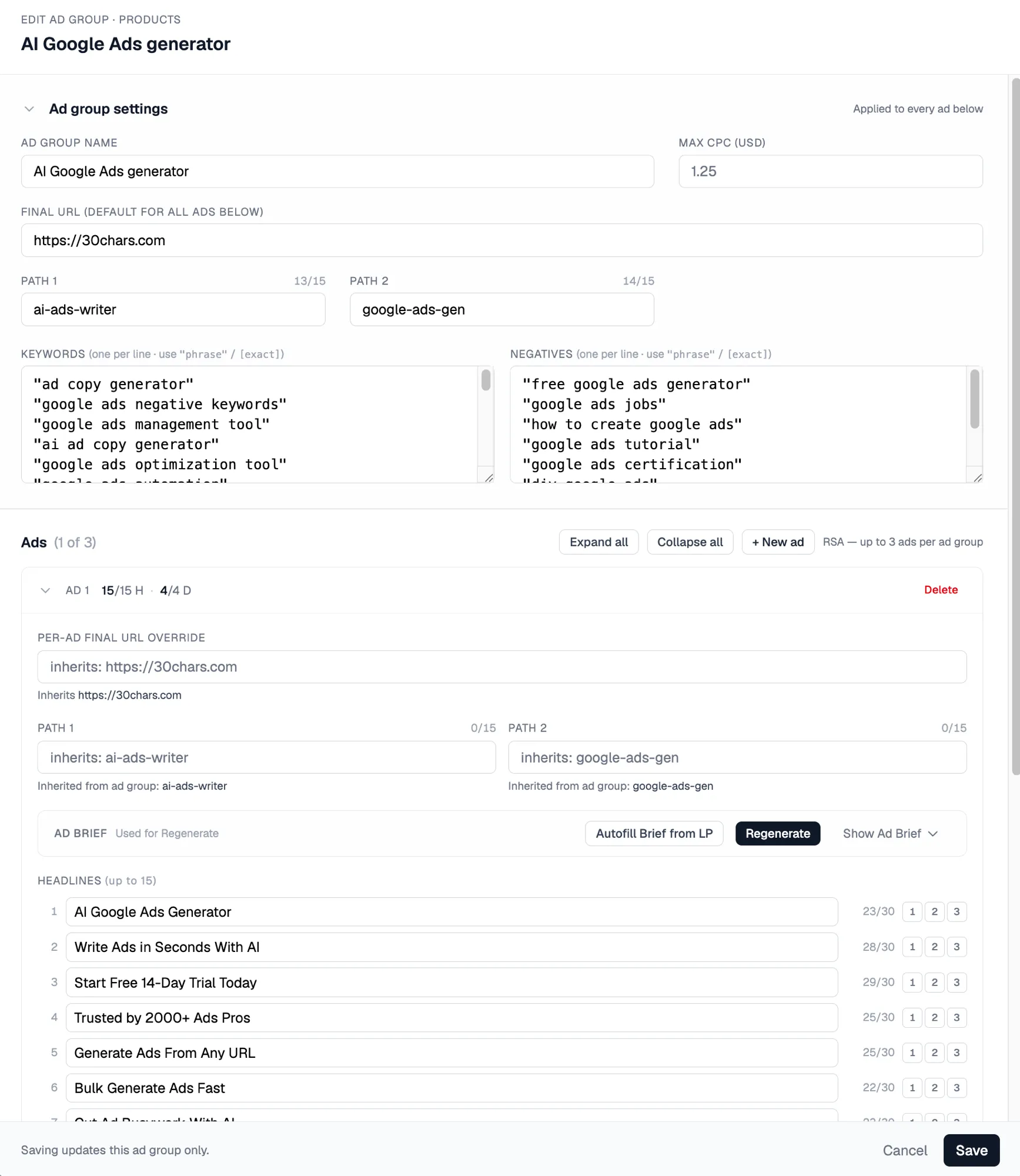 Edit ad group — tune keywords, negatives, paths, and individual ads